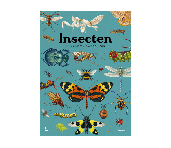 lannoo_insecten[1].jpg
